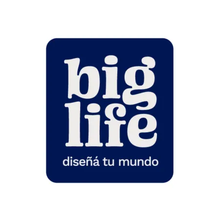 Big Life