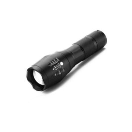 Linterna extensible