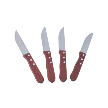 Set de 4 cuchillos asado