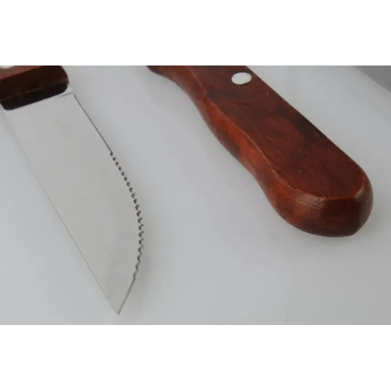 Set de 4 cuchillos asado