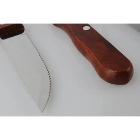 Set de 4 cuchillos asado