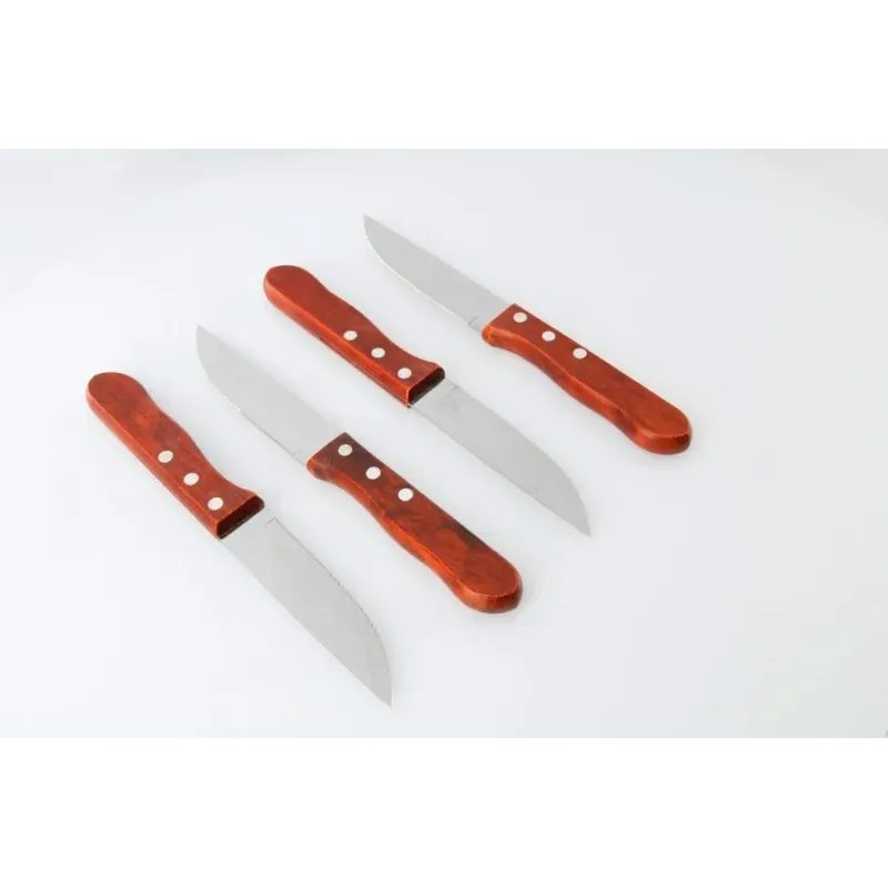 Set de 4 cuchillos asado