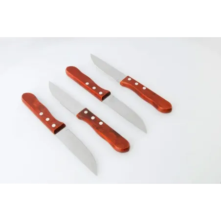 Set de 4 cuchillos asado