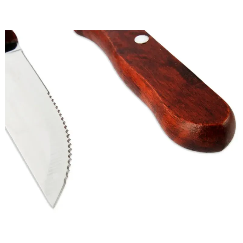 Set de 4 cuchillos asado