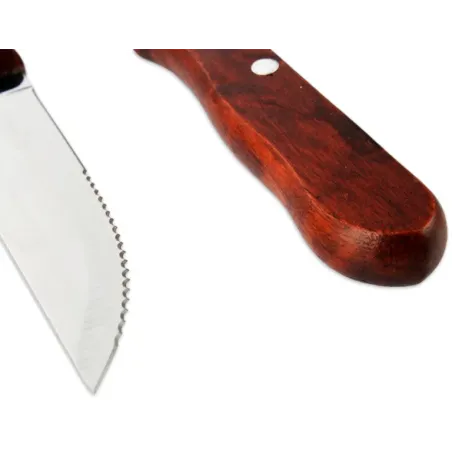 Set de 4 cuchillos asado