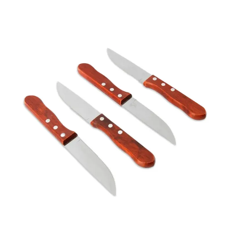 Set de 4 cuchillos asado