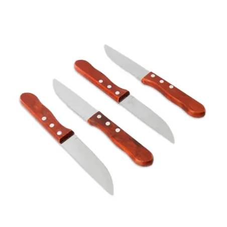 Set de 4 cuchillos asado