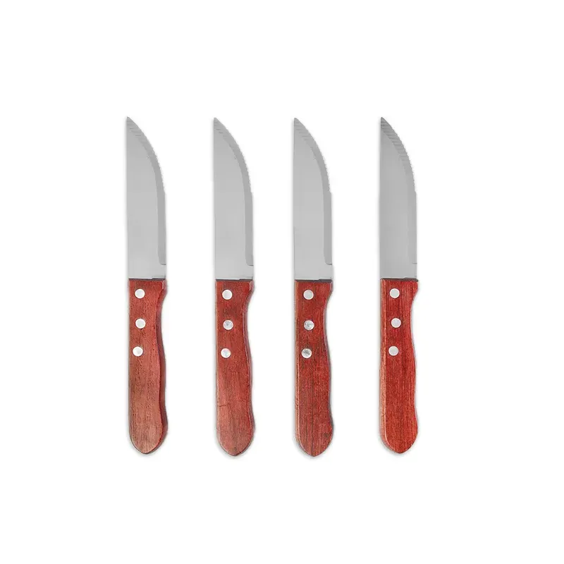Set de 4 cuchillos asado