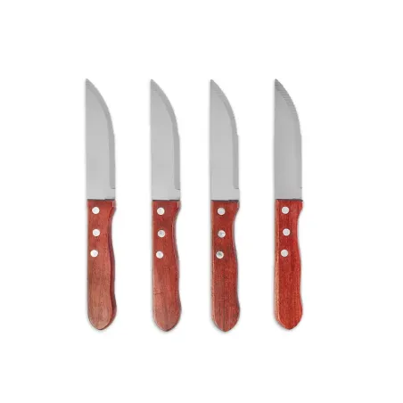 Set de 4 cuchillos asado