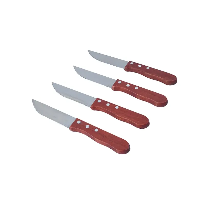 Set de 4 cuchillos asado
