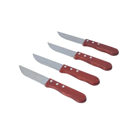 Set de 4 cuchillos asado