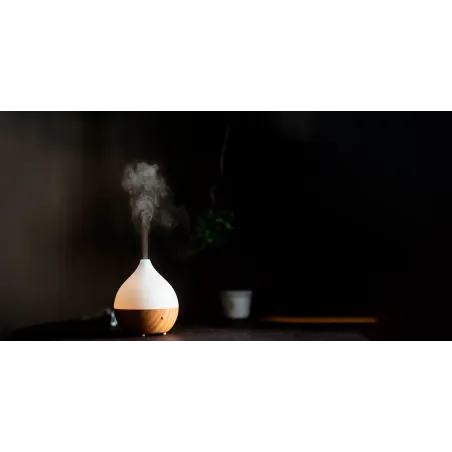 Aromatizador usb
